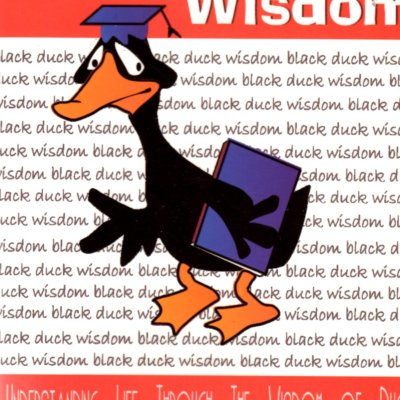 Black Duck Wisdom