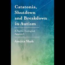 Catatonia, Shutdown and Breakdown in Autism